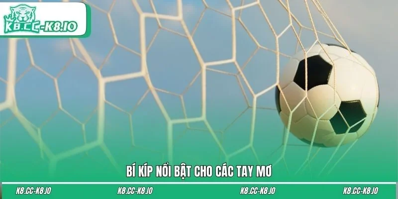 Bí kíp nổi bật cho các tay mơ