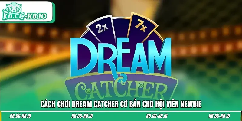 Cách Chơi Dream Catcher Cơ Bản Cho Hội Viên Newbie
