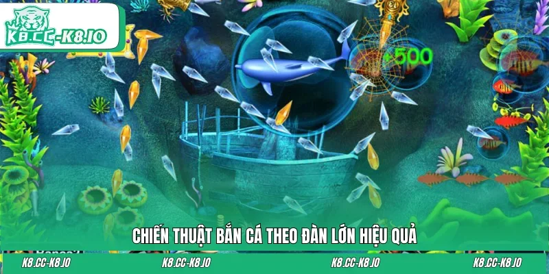 Chiến thuật bắn cá theo đàn lớn hiệu quả