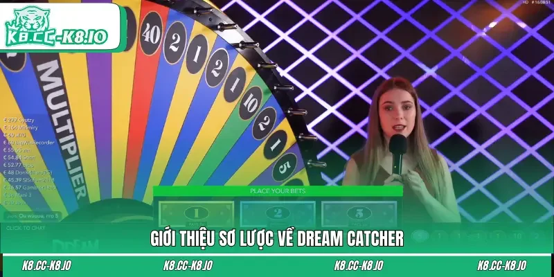 Giới thiệu sơ lược về Dream Catcher