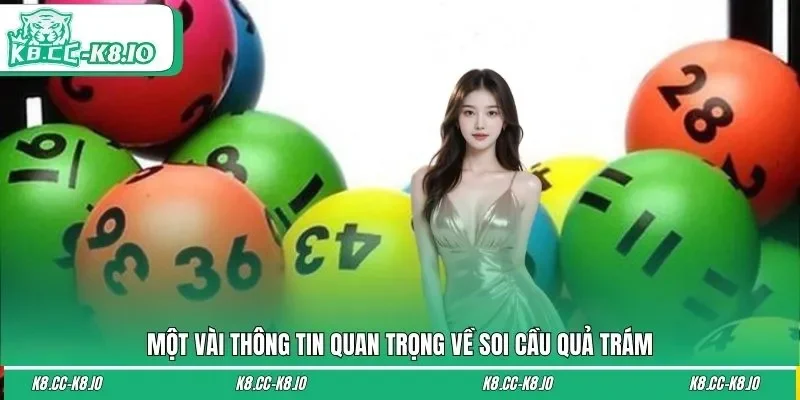 Một vài thông tin quan trọng về soi cầu quả trám