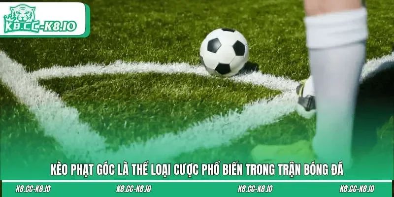 Kèo phạt góc là thể loại cược phổ biến trong trận bóng đá