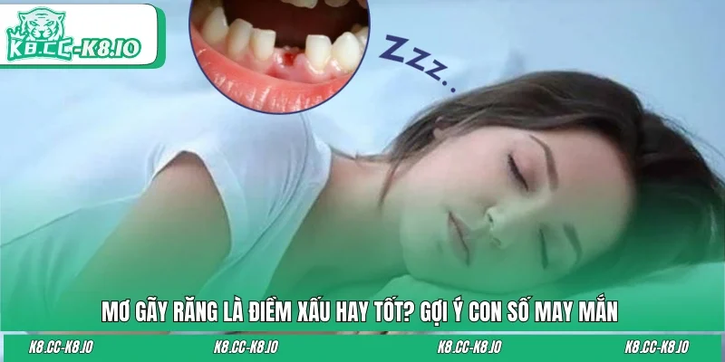 Mơ Gãy Răng Là Điềm Xấu Hay Tốt? Gợi Ý Con Số May Mắn