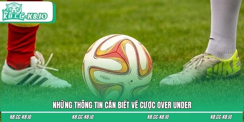 Những thông tin cần biết về cược over under